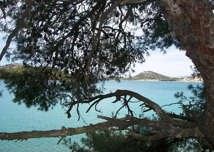 Апартаменты Luna Тисно